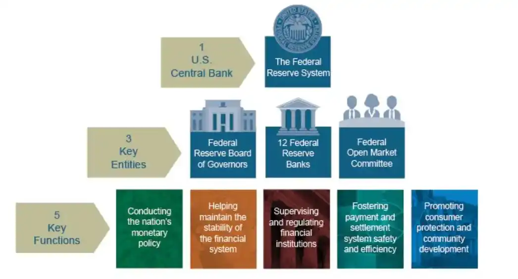 FED'in Organizasyon Yapısı, Federal Rezerv